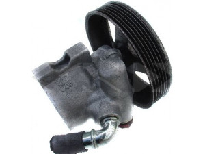 SPIDAN 53898 hidraulinis siurblys, vairo sistema 
 Vairavimas -> Vairo pavara/siurblys
9632335080