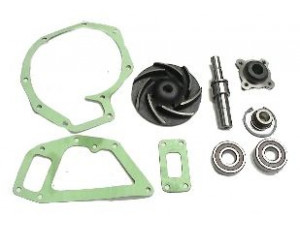 AIR FREN 12.R350.040 remonto komplektas, vandens siurblys