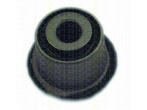 TRISCAN 8500 38806 valdymo svirties/išilginių svirčių įvorė 
 Ašies montavimas/vairavimo mechanizmas/ratai -> Valdymo svirtis/pasukamosios svirties sujungimas -> Montavimas/sutvirtinimas
3523.75, 96110483