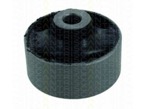 TRISCAN 8500 40807 valdymo svirties/išilginių svirčių įvorė 
 Ašies montavimas/vairavimo mechanizmas/ratai -> Valdymo svirtis/pasukamosios svirties sujungimas -> Montavimas/sutvirtinimas
51391TA0A01