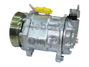 WEBASTO 82D0155490A kompresorius, oro kondicionierius 
 Oro kondicionavimas -> Kompresorius/dalys
9660555580