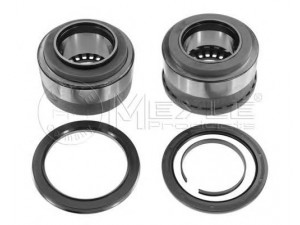 MEYLE 14-34 650 0001 rato guolio komplektas 
 Ašies montavimas/vairavimo mechanizmas/ratai -> Rato stebulė/montavimas -> Rato guolis
1801 592