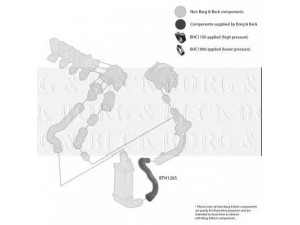 BORG & BECK BTH1265 kompresoriaus padavimo žarna 
 Išmetimo sistema -> Turbokompresorius
0382N4, 0382N4, 0382.N4