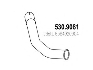 ASSO 530.9081 išleidimo kolektorius
6584920904