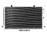 kondensatorius, oro kondicionierius