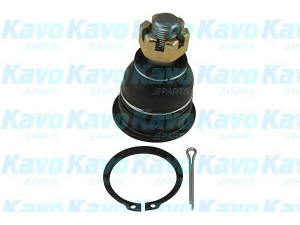 KAVO PARTS SBJ-6509 atramos/vairo trauklė 
 Ašies montavimas/vairavimo mechanizmas/ratai -> Sujungimai -> Atramos/vairo trauklė
401600M010, 401600M020, 4016050Y00