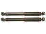 amortizatorius