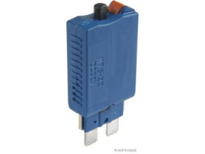 HERTH+BUSS ELPARTS 50295921 automatinis saugiklis
A 002 545 8034