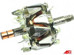 AS-PL AR6001 rotorius, kintamosios srovės generatorius