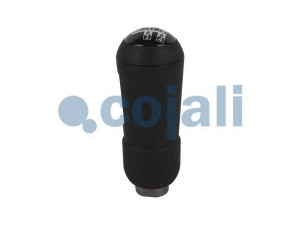COJALI 2880175 pavarų svirties galvelė
1369976