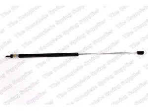 ROC GS0176 dujinė spyruoklė, bagažinė 
 Priedai -> Bagažinė/pakrovimo skyrius
9563598880