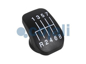 COJALI 2880188 pavarų svirties galvelė
6038323100
