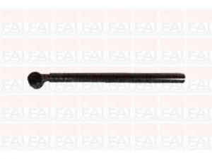 FAI AutoParts SS4673 skersinės vairo trauklės galas 
 Vairavimas -> Vairo mechanizmo sujungimai
381736