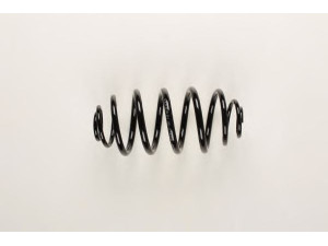 BILSTEIN 36-774210 spyruoklė 
 Pakaba -> Spyruoklės
424 047, 90 581 048