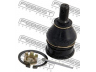 FEBEST 0320-CAP atramos/vairo trauklė 
 Ašies montavimas/vairavimo mechanizmas/ratai -> Sujungimai -> Atramos/vairo trauklė
51350-S2G-013, 51350-S7H-003