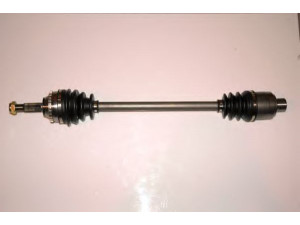 PROTECHNIC PRA053 kardaninis velenas 
 Ratų pavara -> Kardaninis velenas
7700111365