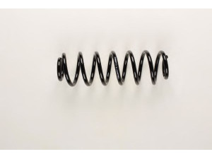 BILSTEIN 36-199662 spyruoklė 
 Pakaba -> Spyruoklės
3C0 511 115 AE, 3C0 511 115 AF