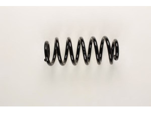 BILSTEIN 36-203215 spyruoklė 
 Pakaba -> Spyruoklės
4F0 411 105 BL