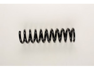 BILSTEIN 36-159543 spyruoklė 
 Pakaba -> Spyruoklės
129 321 16 04, 129 321 17 04