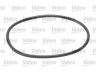 VALEO 614528 vandens siurblio ir paskirstymo diržo komplektas 
 Aušinimo sistema -> Vandens siurblys/tarpiklis -> Vandens siurblys
X24OESKDP