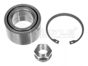 MEYLE 16-14 650 0010 rato guolio komplektas 
 Ašies montavimas/vairavimo mechanizmas/ratai -> Rato stebulė/montavimas -> Rato guolis
45 01 154, 7701205416, 45 01 154