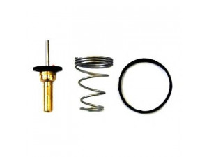 HOFFER 8192787 termostatas, aušinimo skystis 
 Aušinimo sistema -> Termostatas/tarpiklis -> Thermostat
4711631, 1767069L00, 95507990