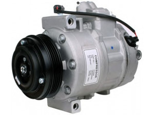 PowerMax 7010647 kompresorius, oro kondicionierius 
 Oro kondicionavimas -> Kompresorius/dalys
64509118602, 64509174802, 64526901783