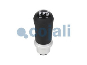 COJALI 2880135 pavarų svirties galvelė
1369975