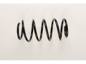 BILSTEIN 36-225965 spyruoklė 
 Pakaba -> Spyruoklės
4A5 411 105 E