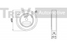 TREVI AUTOMOTIVE TA2178 įtempiklio skriemulys, V formos rumbuotas diržas 
 Diržinė pavara -> V formos rumbuotas diržas/komplektas -> Įtempiklio skriemulys
4916081A00