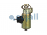 COJALI 2218208 solenoidinis vožtuvas
1504924, 41016829, 503135472, 5010046405