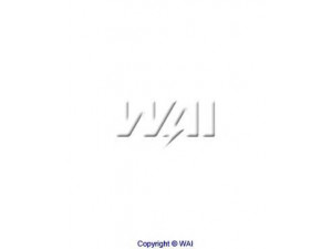 WAIglobal 62-91901 įvorė, starterio velenas
9935940, 0001515950, 003911257