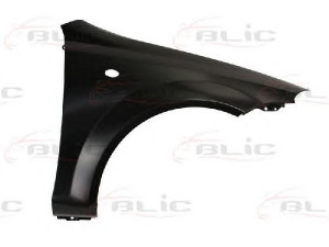 BLIC 6504-04-1132314P sparnas 
 Kėbulas -> Transporto priemonės priekis -> Sparnas/montavimo dalys
96548956