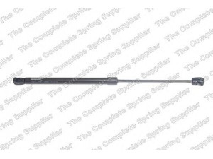 ROC GS1729 dujinė spyruoklė, bagažinė 
 Priedai -> Bagažinė/pakrovimo skyrius
3AF827550B