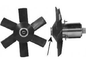 VAN WEZEL 0322746 ventiliatorius, radiatoriaus 
 Aušinimo sistema -> Oro aušinimas
811959455L, 811959455R, 893959455B