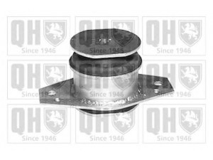 QUINTON HAZELL EM4054 variklio montavimas; montavimas, automatinė transmisija; montavimas, neautomatinė transmisija 
 Transmisija -> Neautomatinė pavarų dėžė -> Ašies montavimas
7594993