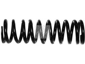 MAPCO 70880 spyruoklė 
 Pakaba -> Spyruoklės
201 324 2504