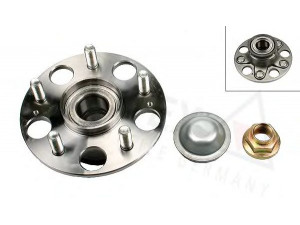 AUTEX 802800 rato guolio komplektas 
 Ašies montavimas/vairavimo mechanizmas/ratai -> Rato stebulė/montavimas -> Rato guolis