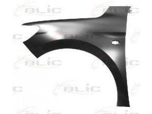 BLIC 6504-04-5511311P sparnas 
 Kėbulas -> Transporto priemonės priekis -> Sparnas/montavimo dalys
9674790780