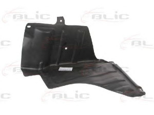 BLIC 6601-02-1132871P variklio dangtis 
 Variklis -> Variklio dangtis
96545471