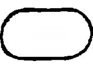 ELRING 888.605 tarpiklis, įsiurbimo kolektorius 
 Variklis -> Tarpikliai -> Tarpiklis, įsiurbimo kolektorius
1 717 259, 11 61 1 717 259