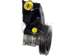 SPIDAN 53621 hidraulinis siurblys, vairo sistema 
 Vairavimas -> Vairo pavara/siurblys
53010258