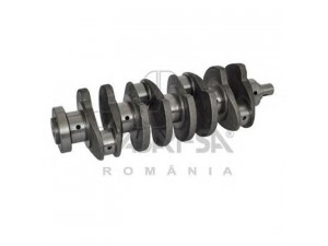 ASAM 30287 alkūninis velenas
6001538699