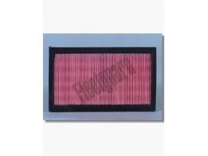 FLEETGUARD AF4615 oro filtras 
 Filtrai -> Oro filtras
94455838, 94455839, 16546AA020