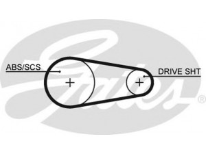 GATES 5204XS paskirstymo diržas 
 Techninės priežiūros dalys -> Papildomas remontas
1652627, 89FB2M016AA