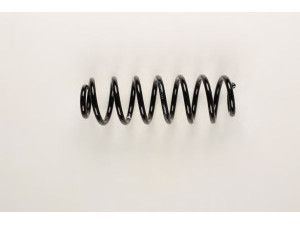 BILSTEIN 36-199679 spyruoklė 
 Pakaba -> Spyruoklės
3C0 511 115 AH