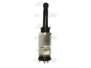 Magnum Technology APL013MT pneumatinės spyruoklės statramstis
LR016416