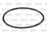 VALEO 614542 vandens siurblio ir paskirstymo diržo komplektas 
 Aušinimo sistema -> Vandens siurblys/tarpiklis -> Vandens siurblys
X39OESKDP