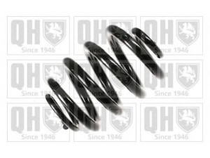 QUINTON HAZELL QCS8259 spyruoklė 
 Pakaba -> Spyruoklės
7H0 511 115 AD