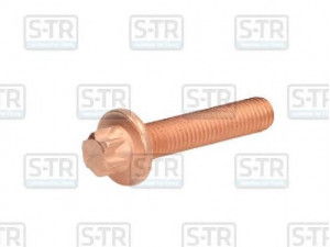 S-TR STR-40225 varžtas, išmetimo sistema 
 Dviratė transporto priemonės -> Išmetimo sistema -> Atskiros surinkimo dalys -> Varžtas/veržlė
51.90001.0168, 51.90490.0029, 51900010168